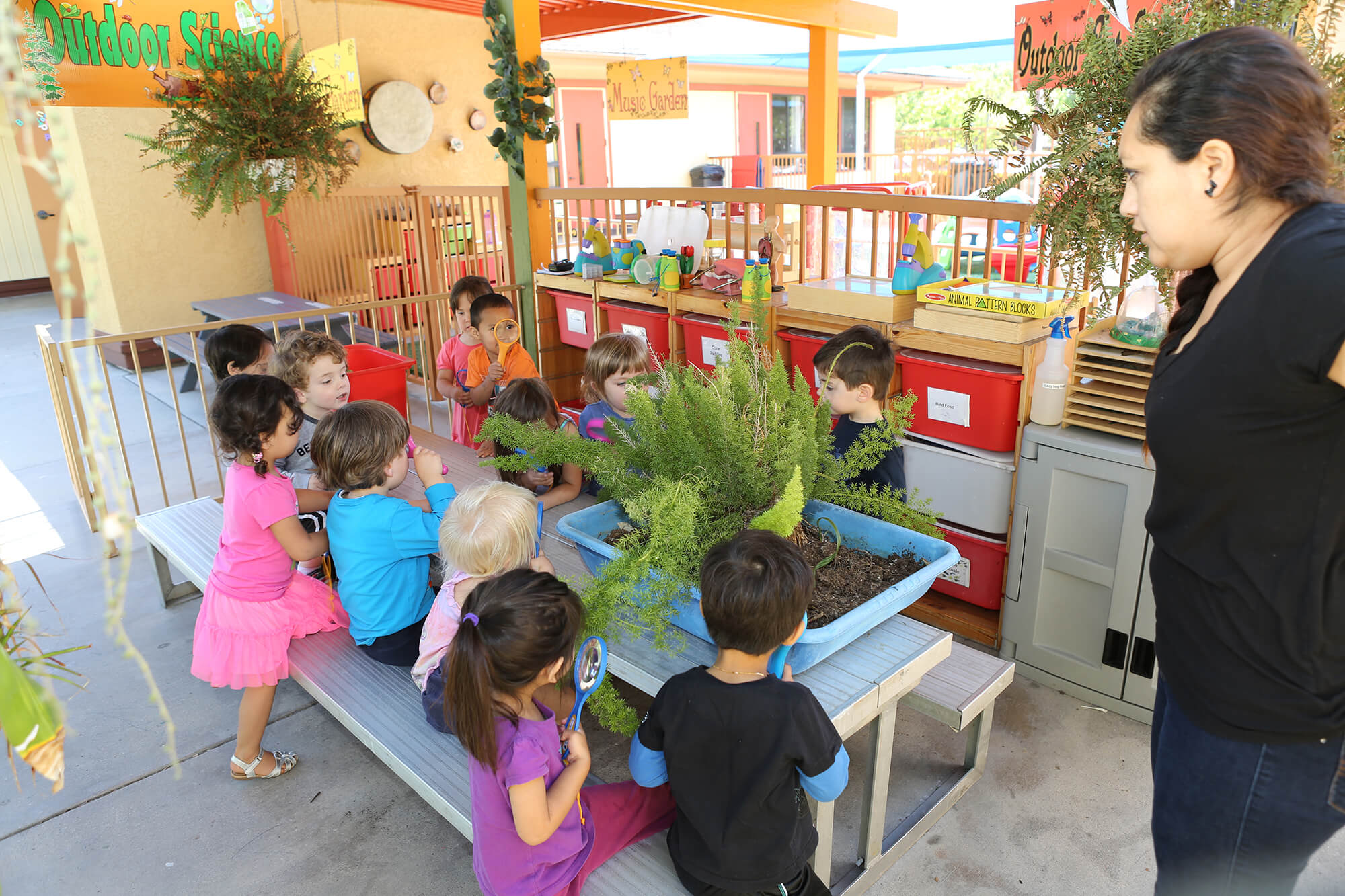 Montessori Aliso Viejo outdoor-science
