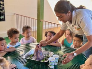 Best preschool in Laguna Hills